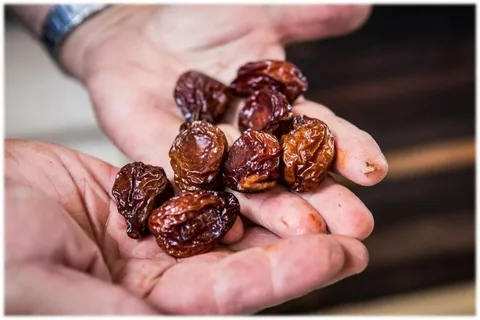 تصویر 2 از قیمت خرید آلو بخارا آفتاب خشک + فروش ویژه